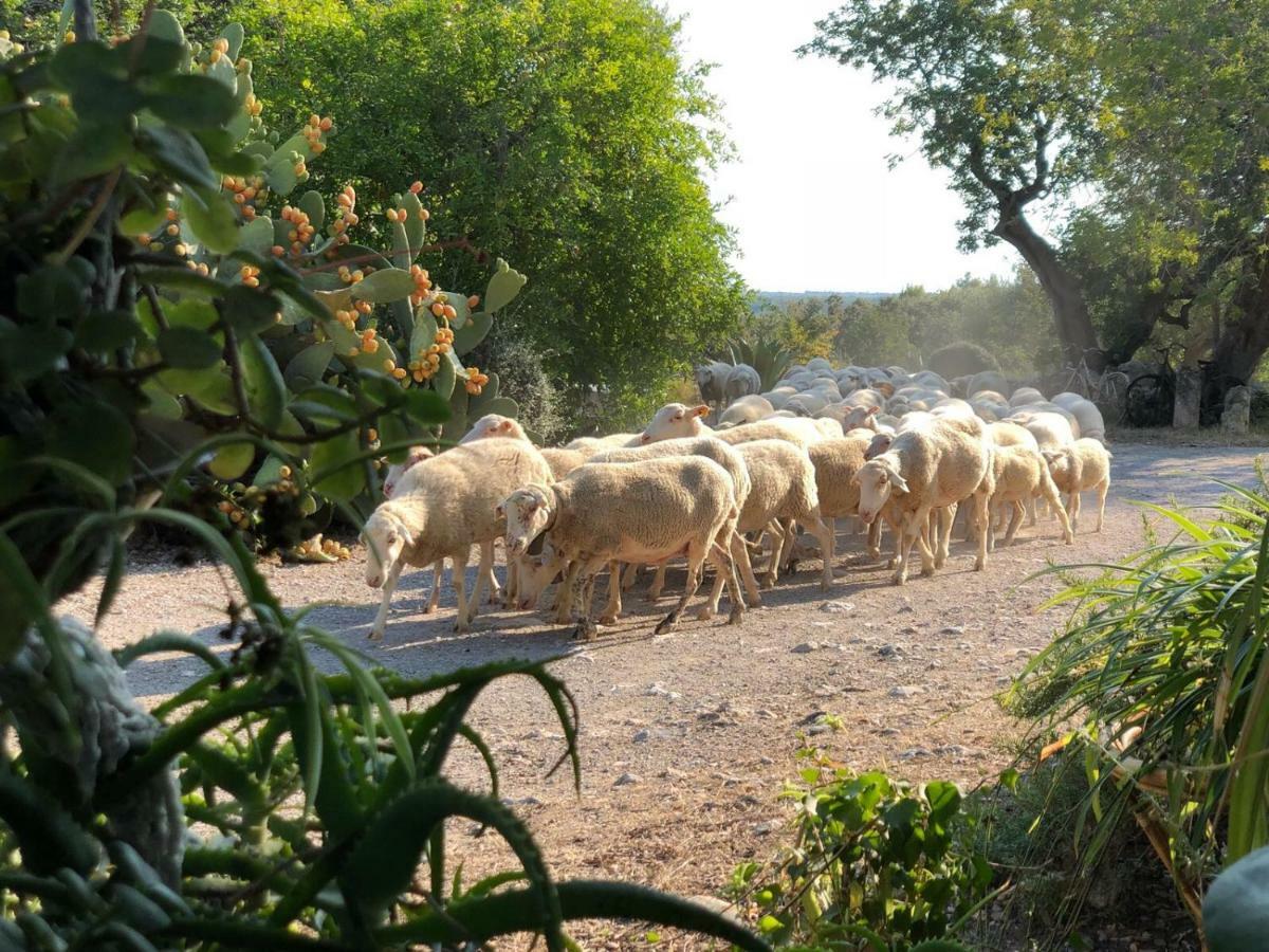 Séjour à la ferme Guillo *